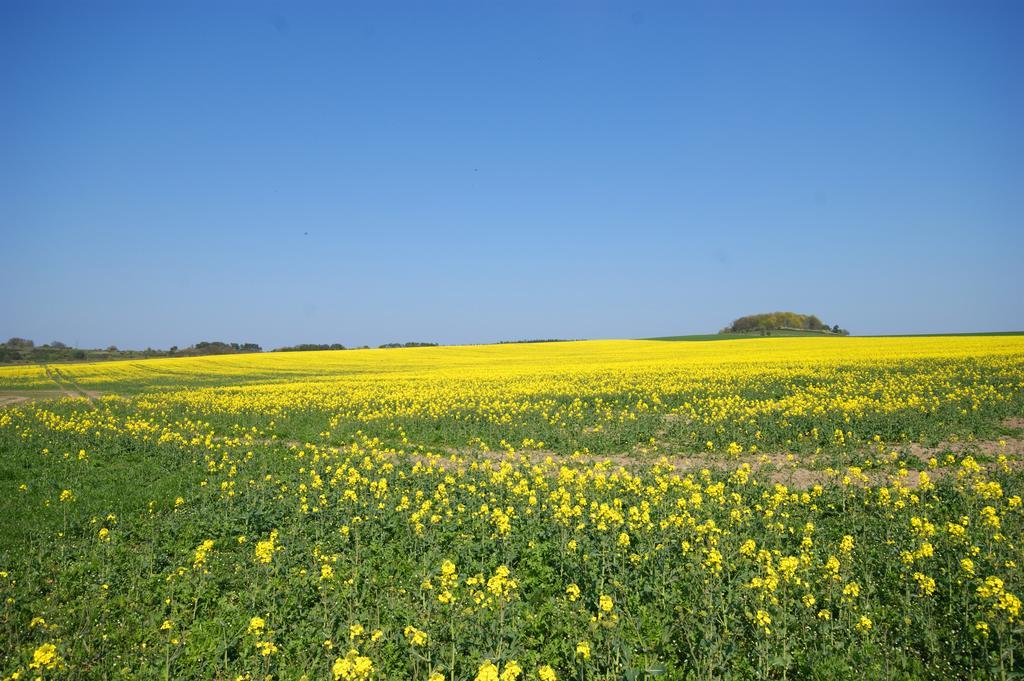 Hoefthus 8 Alt Reddevitz ภายนอก รูปภาพ